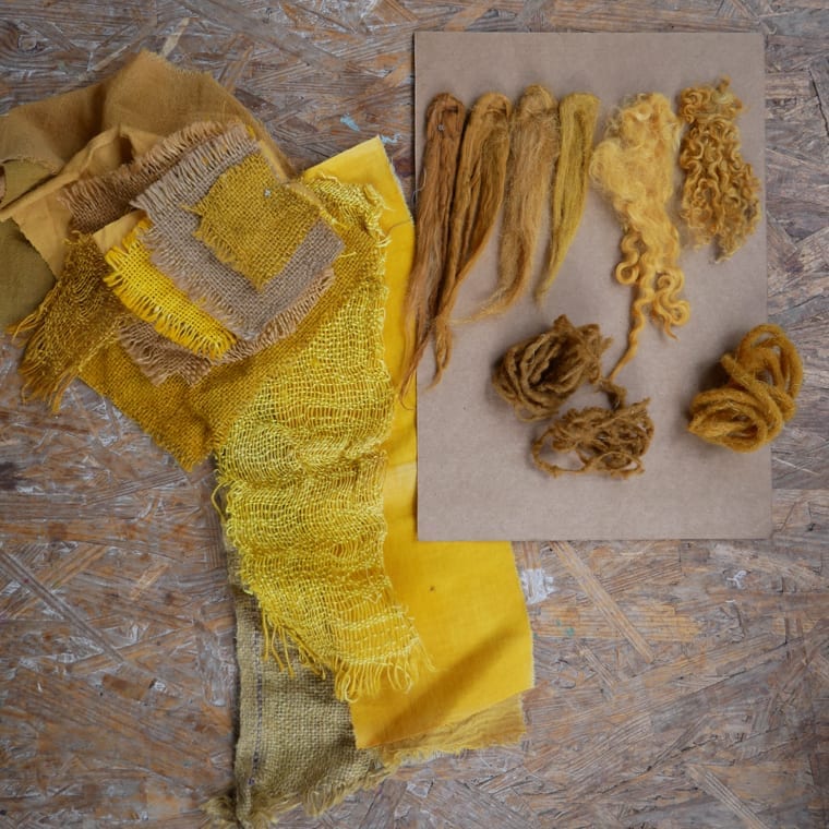 Yellow and brown natural dye samples