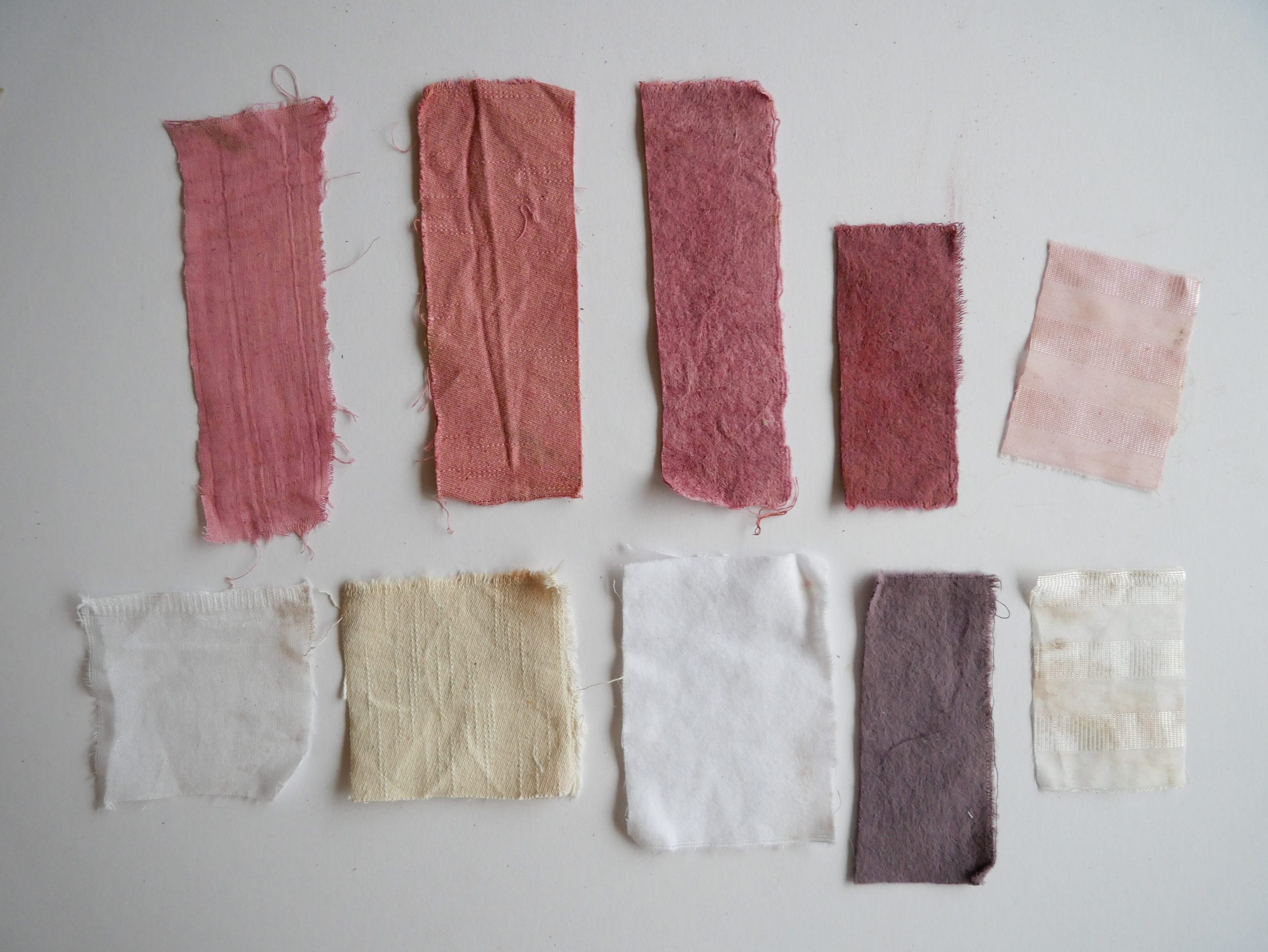 Samples of natural dyed brazilwood and samples pre-dye