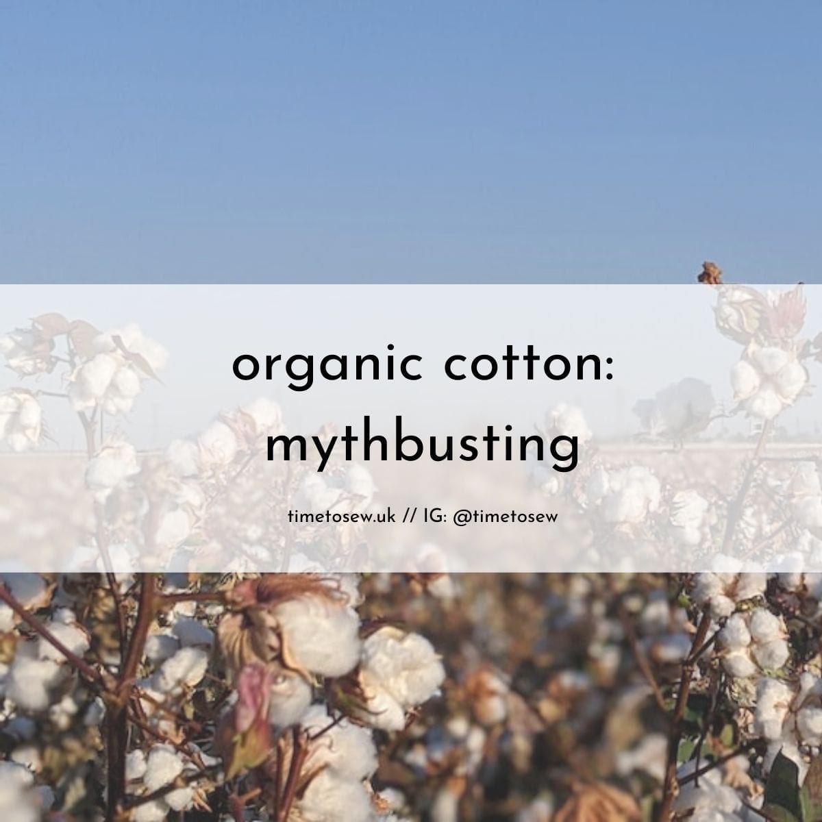 Organic cotton might be worse for the environment than regular cotton
